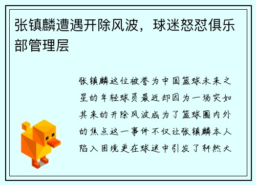 张镇麟遭遇开除风波，球迷怒怼俱乐部管理层